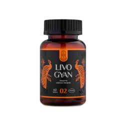 LIVO GYAN — «ЛИВО ГЯН Поддержка печени»
