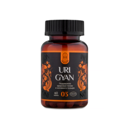 URI GYAN — «УРИ ГЯН Поддержка почек»