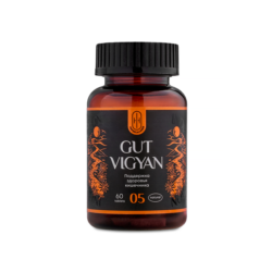 GUT VIGYAN — «ГАТ ВИГЯН Восстановление кишечника»